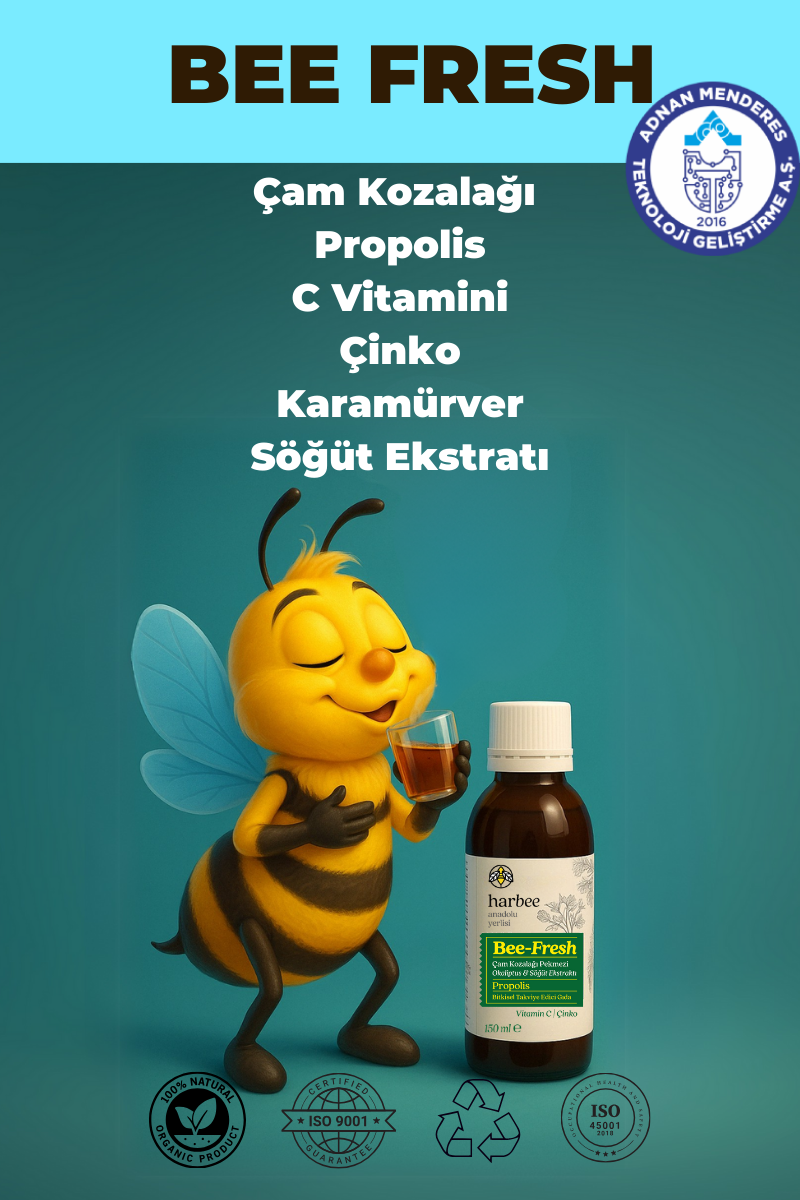 Çam Kozalağı Propolis C Vitamini Çinko Karamürver Söğüt Ekstratı Şurup 150ml - Harbee Bee Fresh